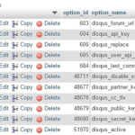 Cleanup the wp_options table in WordPress