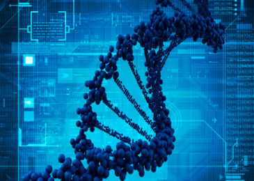 What Specializations Can A Masters In Engineering Offer Me?