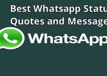 what is whatsapp status