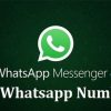 real-girls-whatsapp-numbers