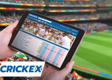 Process for Cricex app download 